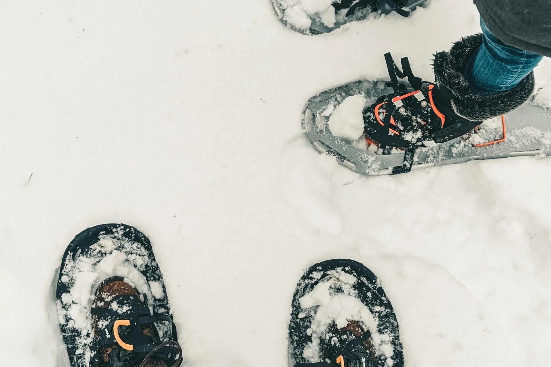 Fitness, yoga, outdoor fun: active hotel in South Tyrol. Two people wearing snowshoes standing on snow