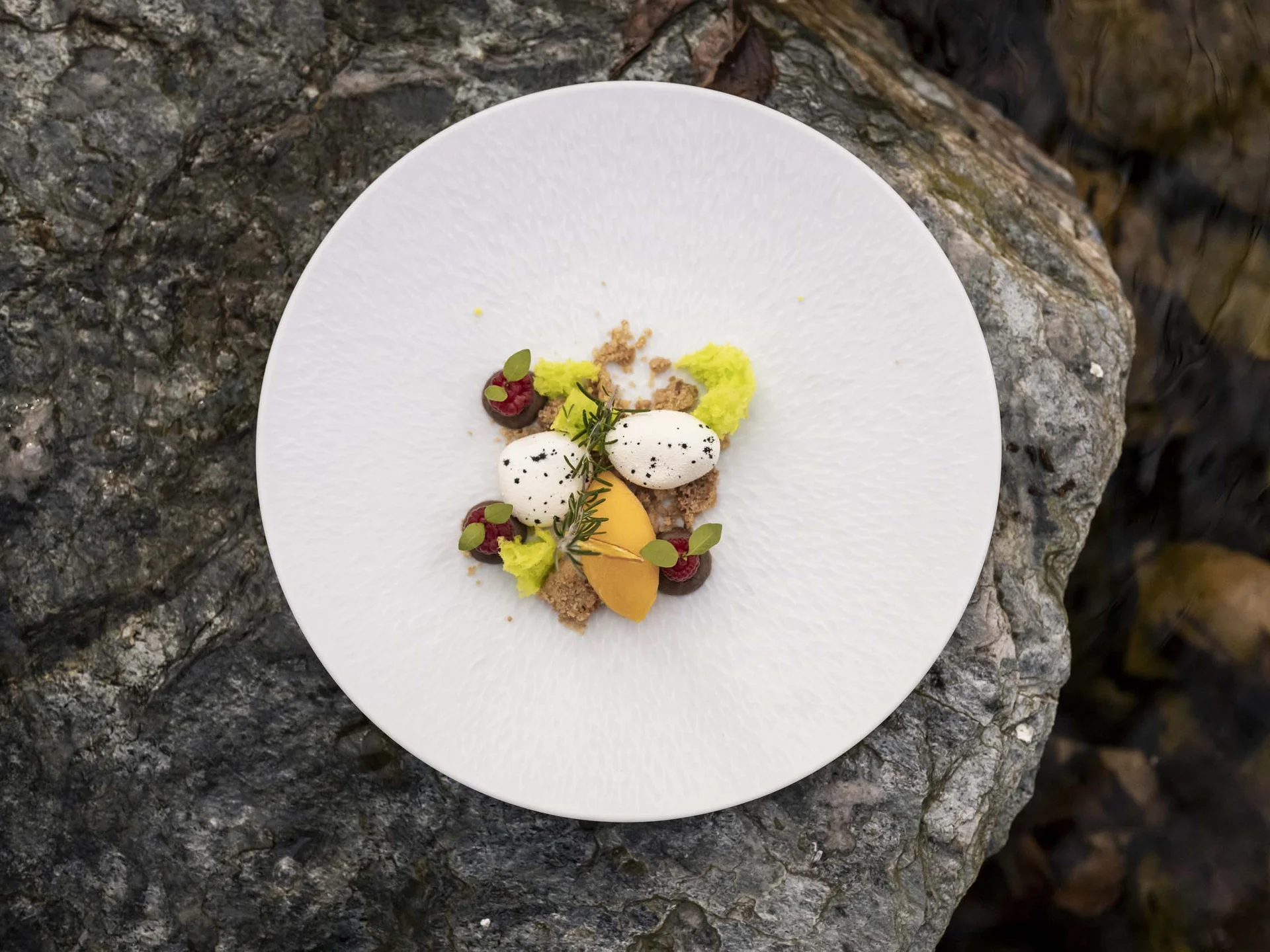 The taste of nature at your hotel with half board in South Tyrol. Gourmet dessert with ice cream, berries, and herbs on white plate on stone surface