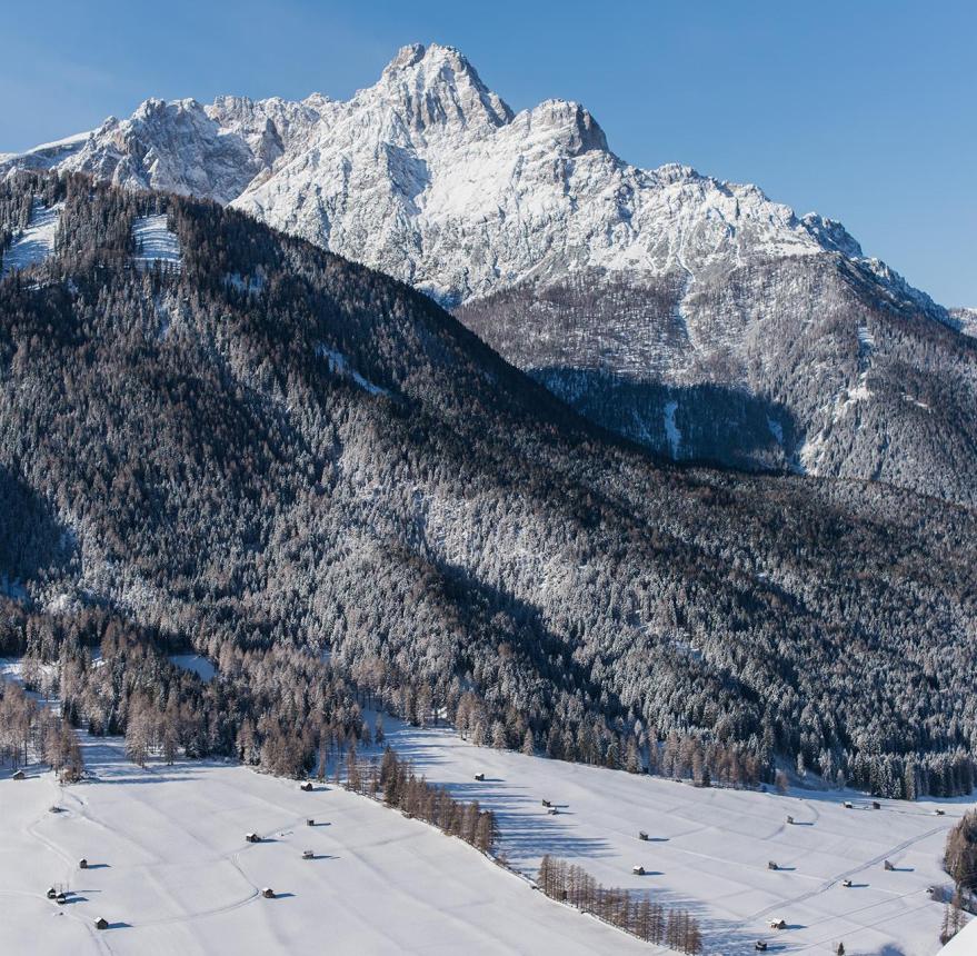 Winter panorama